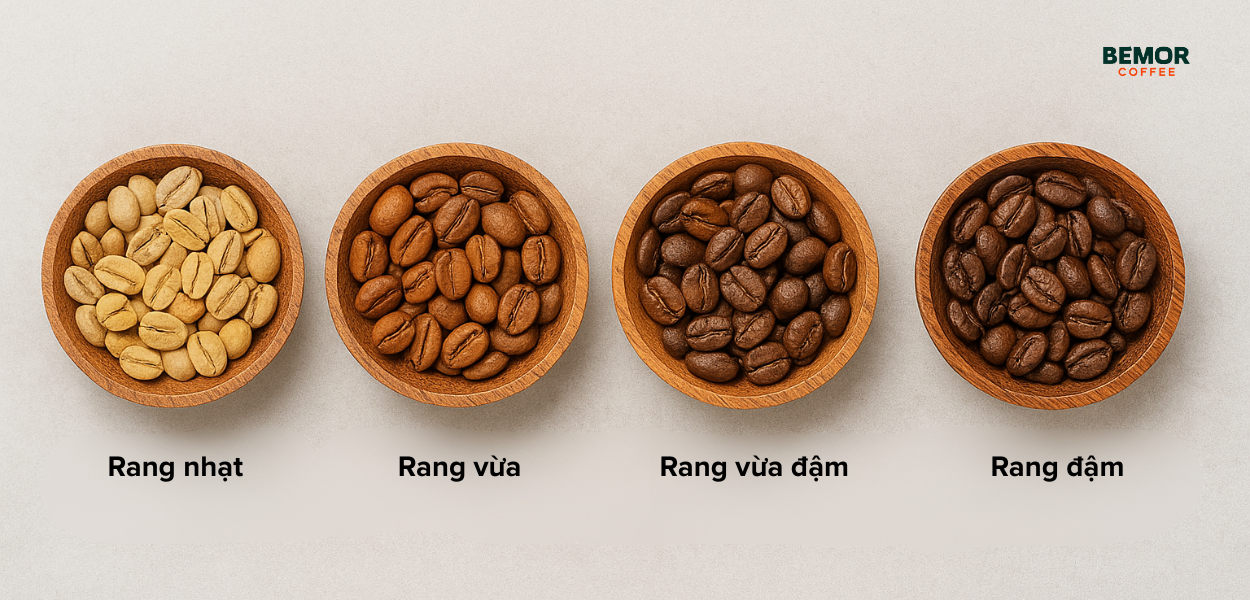 Khám phá 4 mức độ rang cà phê: Hiểu để chọn đúng vị